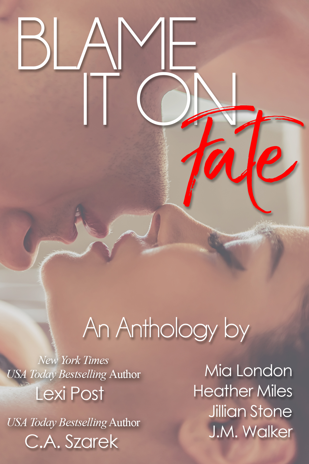 Blame It On Fate book cover