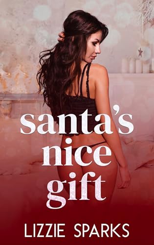 Santa's Nice Gift book cover