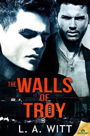 The Walls of Troy book cover
