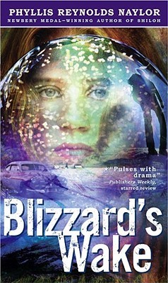 Blizzard's Wake book cover