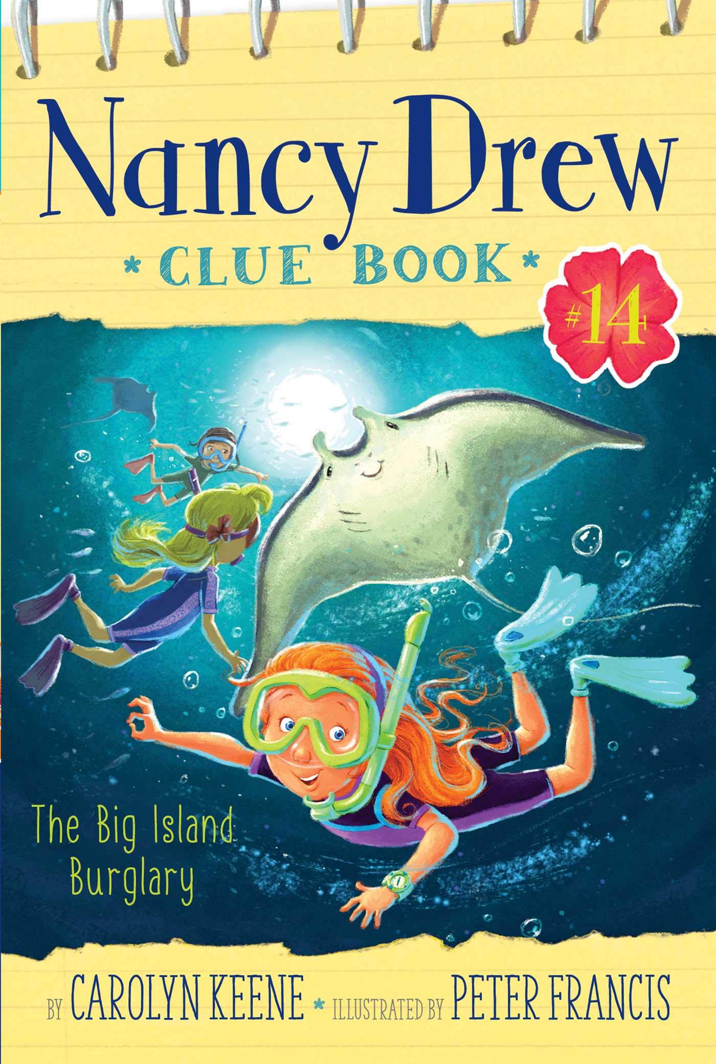 The Big Island Burglary book cover