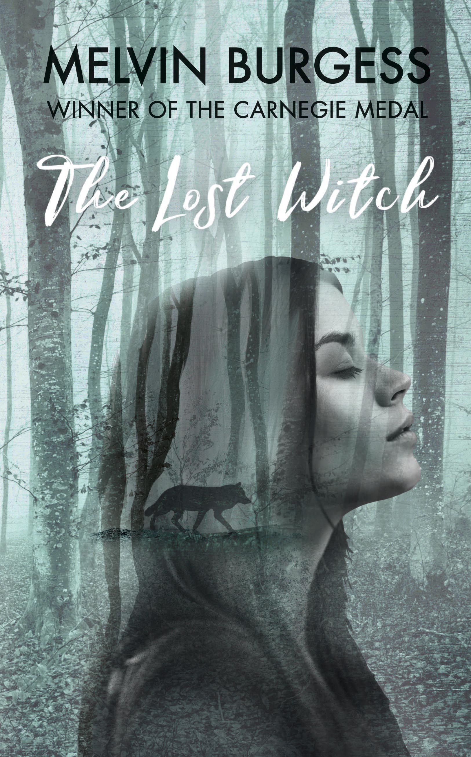 The Lost Witch book cover