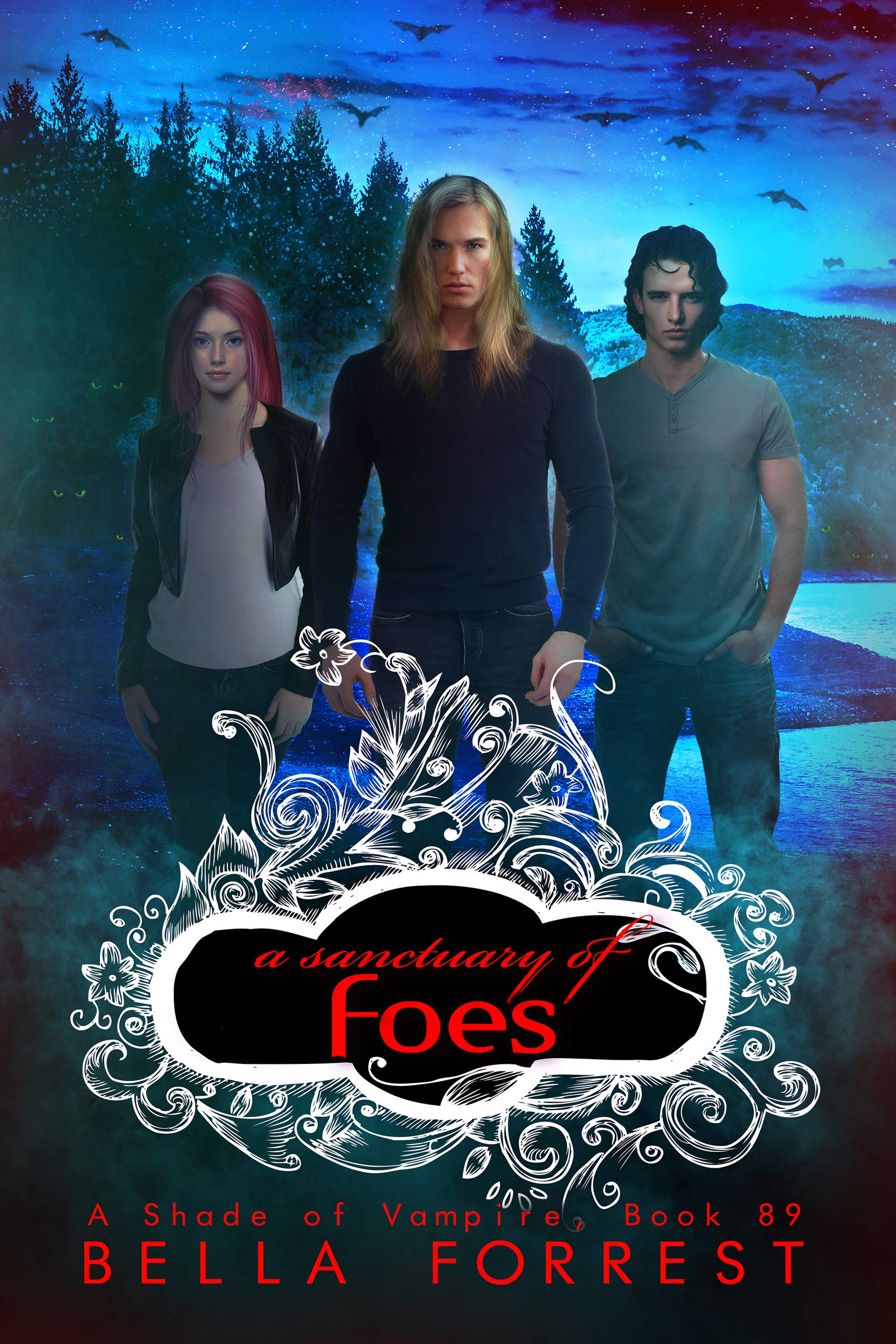 A Sanctuary of Foes book cover