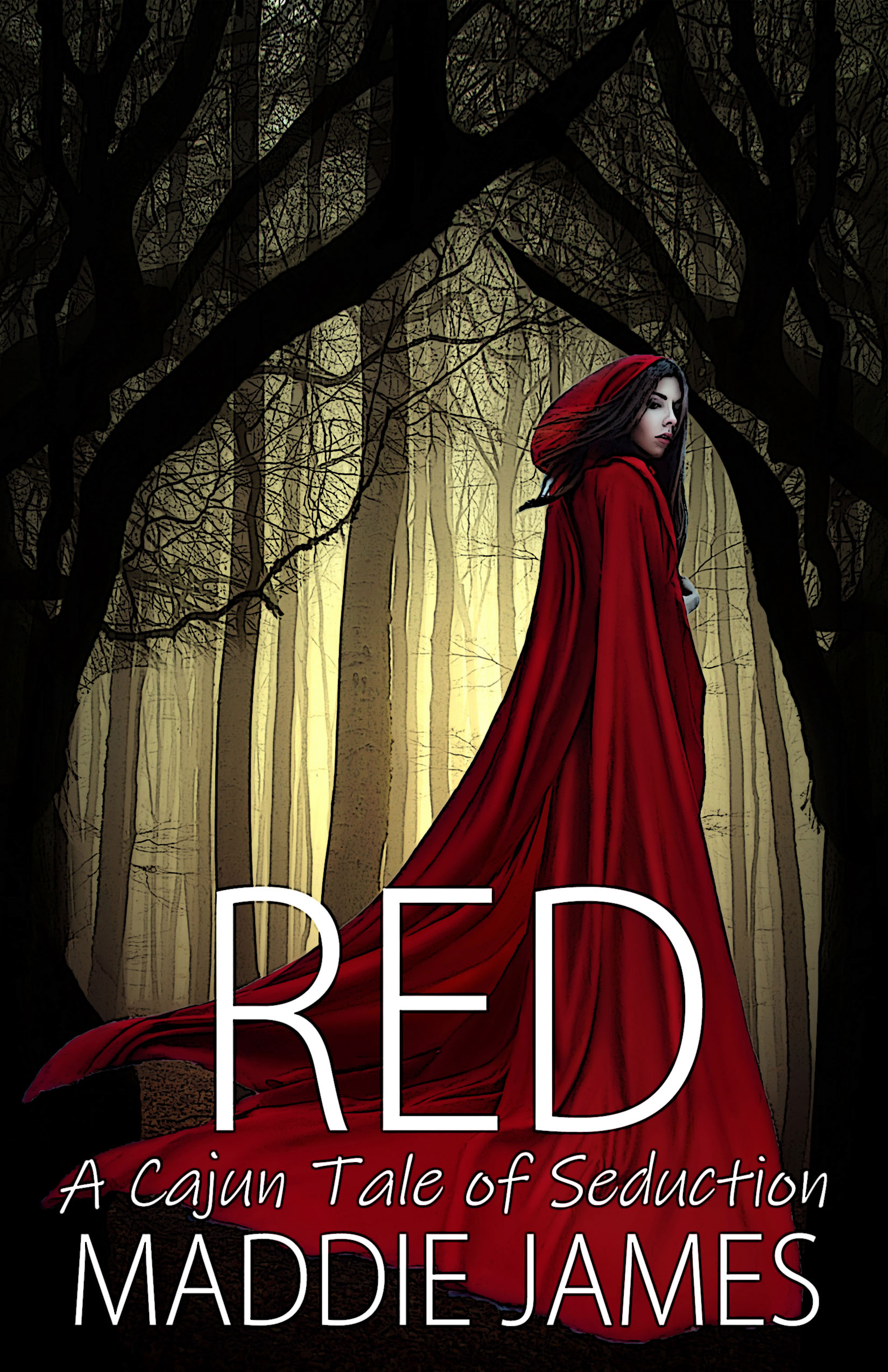 Red book cover