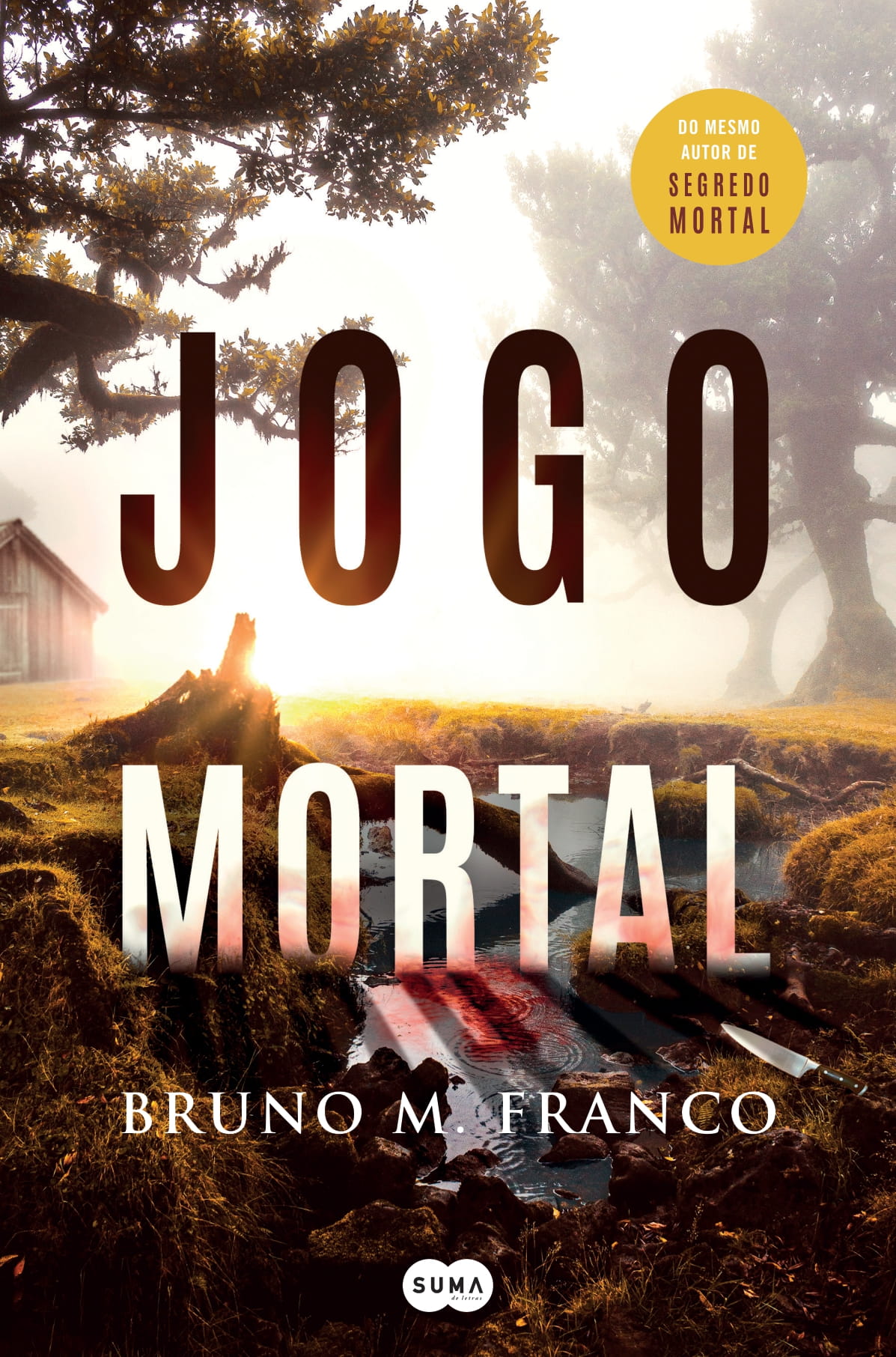 Mortal book cover 1