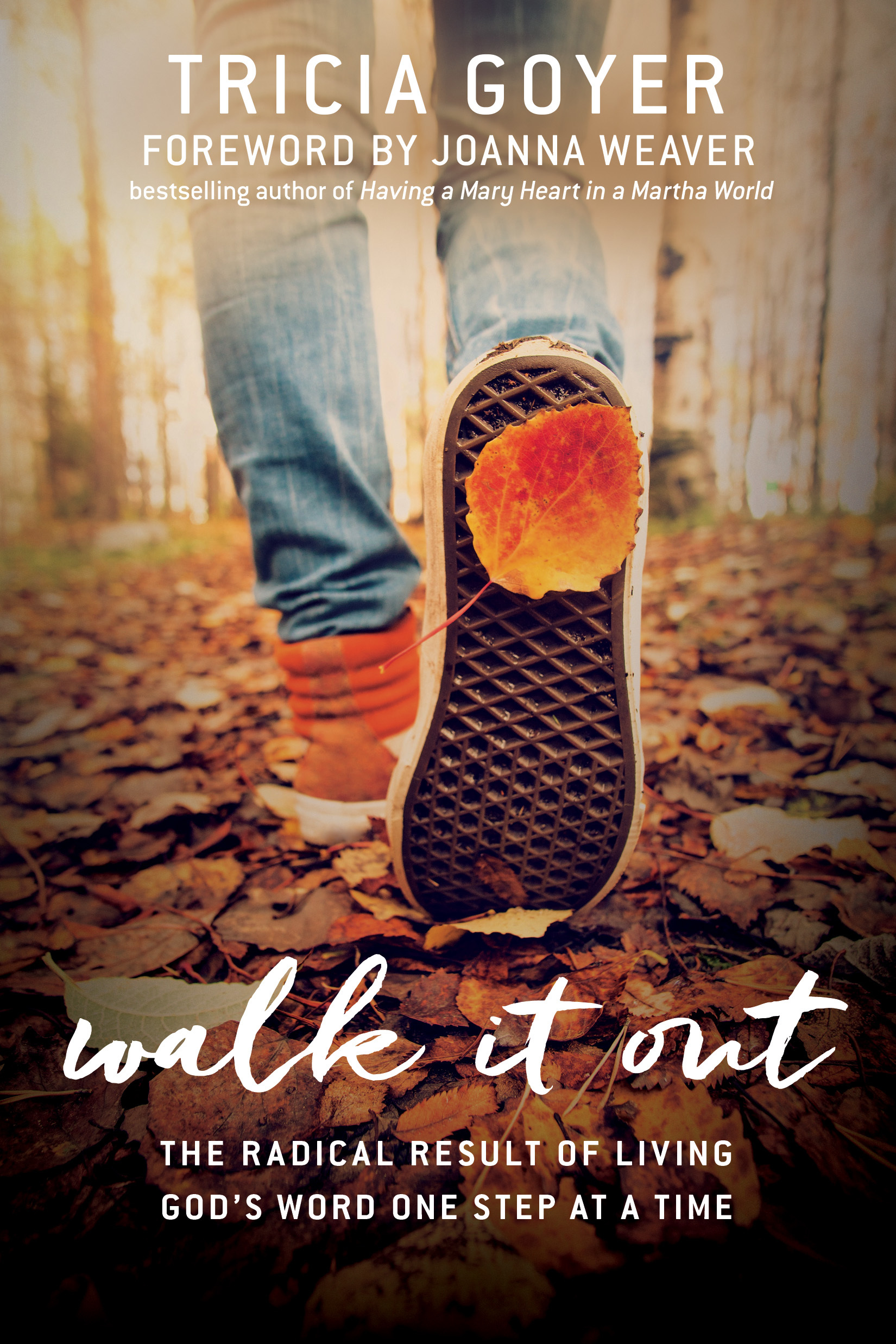 Walk It Out book cover