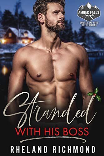 Amber Falls book cover 1
