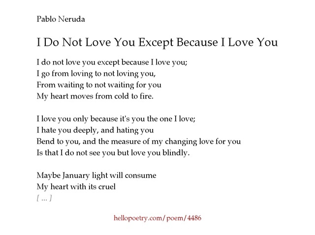 I Do Not Love You Except Because I Love You book cover