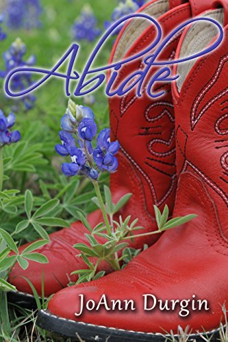 Abide book cover