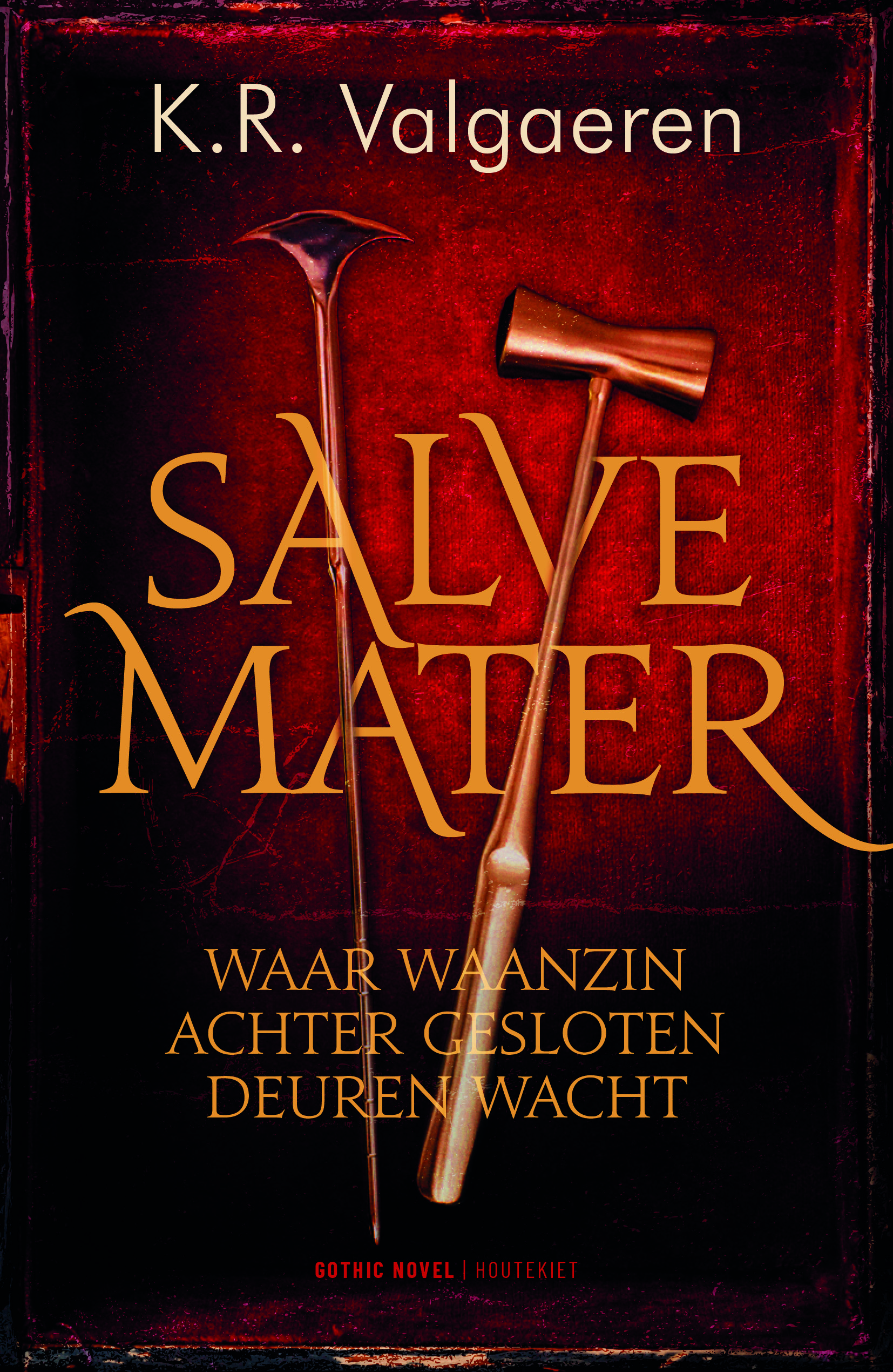 Salve Mater book cover