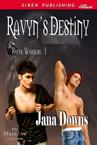 Ravyn's Destiny book cover