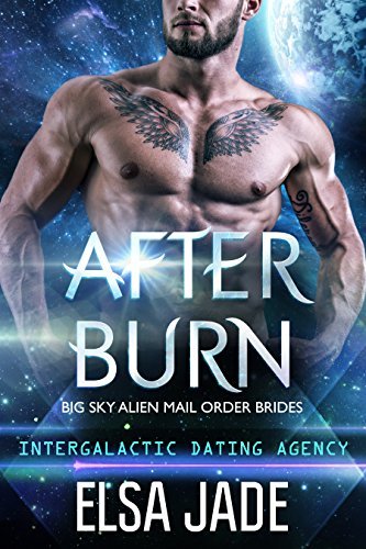 After Burn book cover