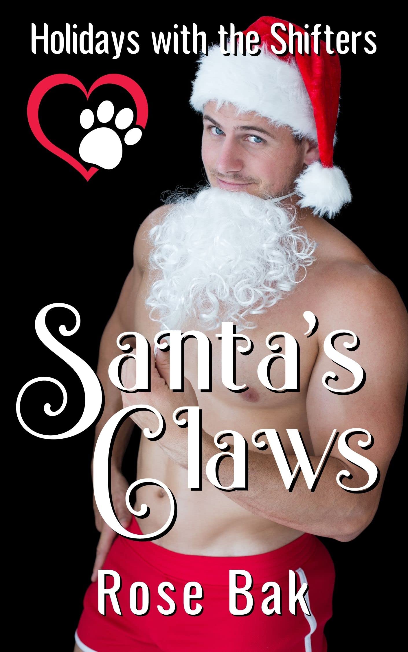 Holidays with the Shifters book cover 1