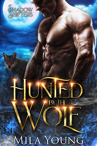 Cloaked in Christmas book cover