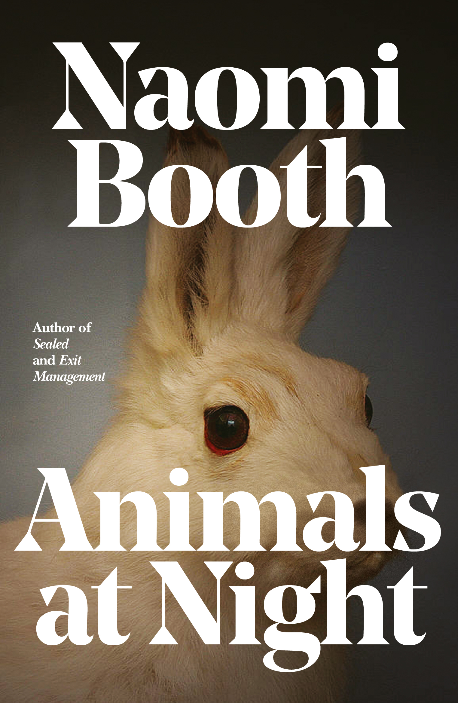 Animals at Night book cover