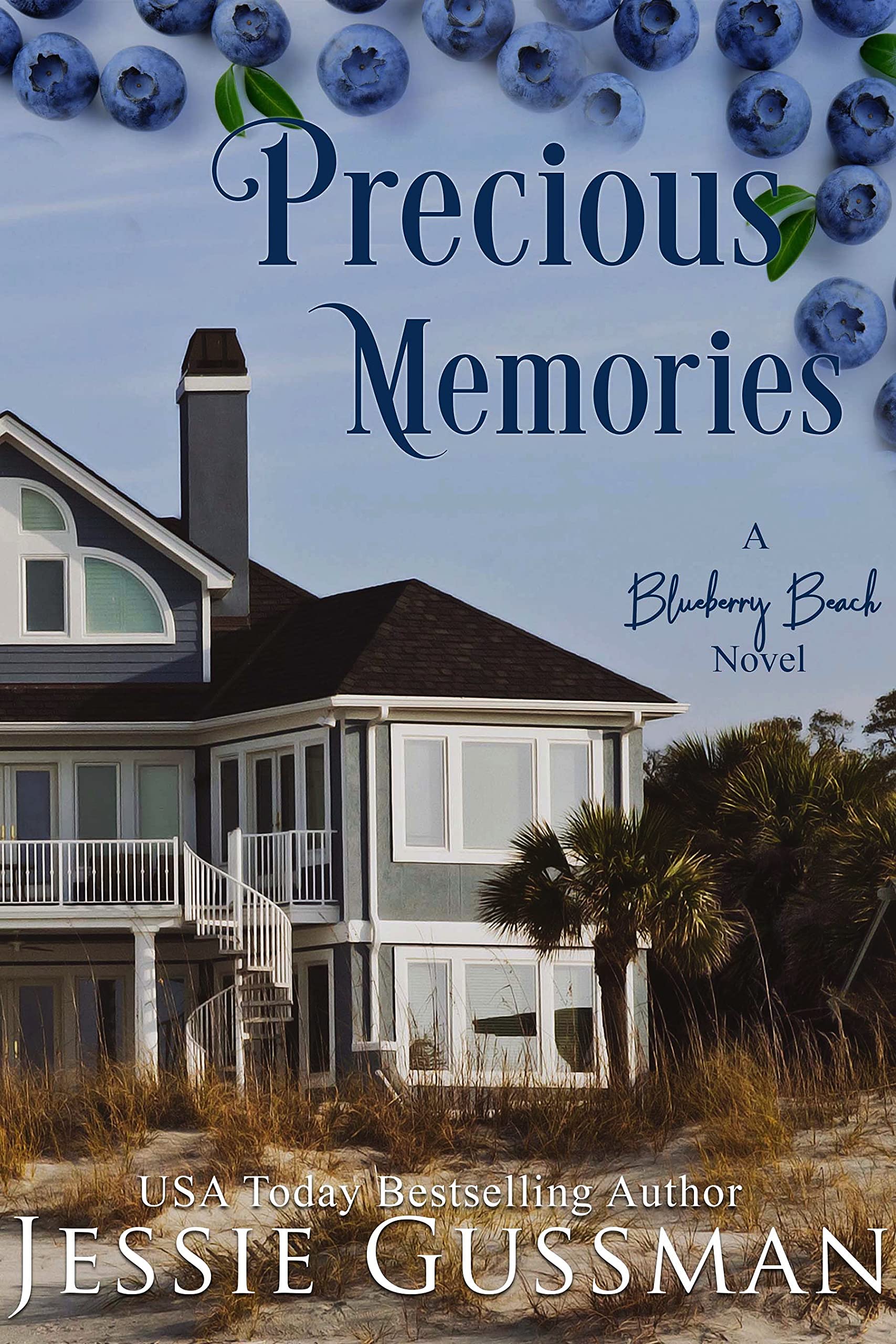Precious Memories book cover