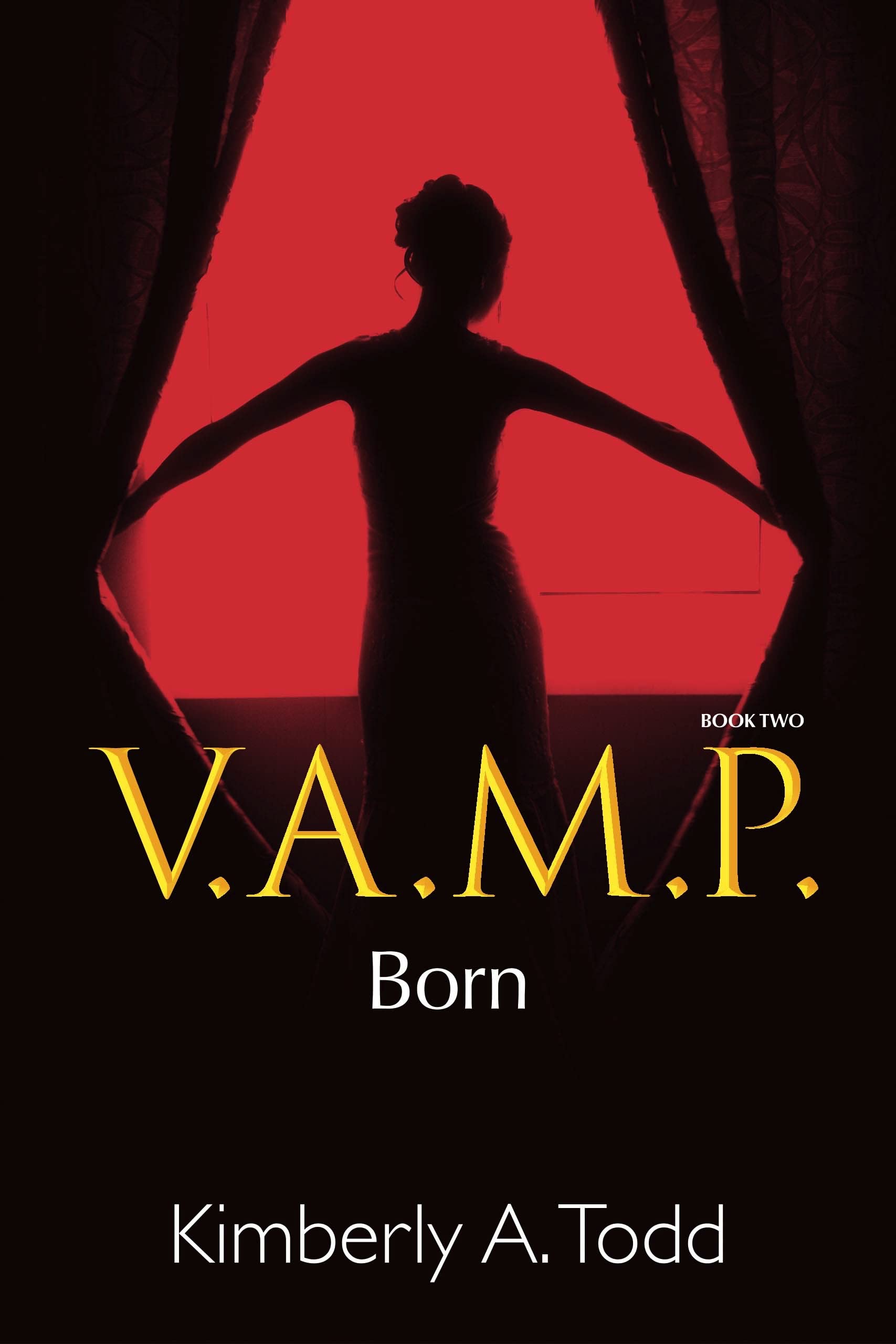 V.A.M.P. book cover 2