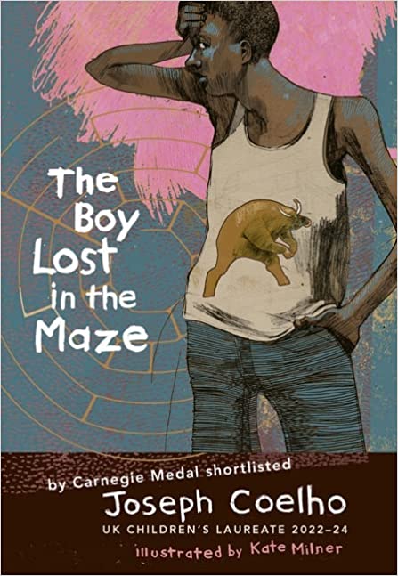 The Boy Lost in the Maze book cover
