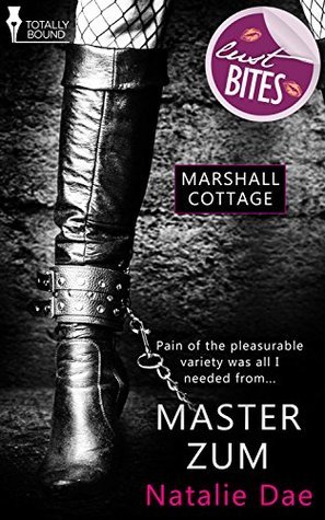 Master Zum book cover