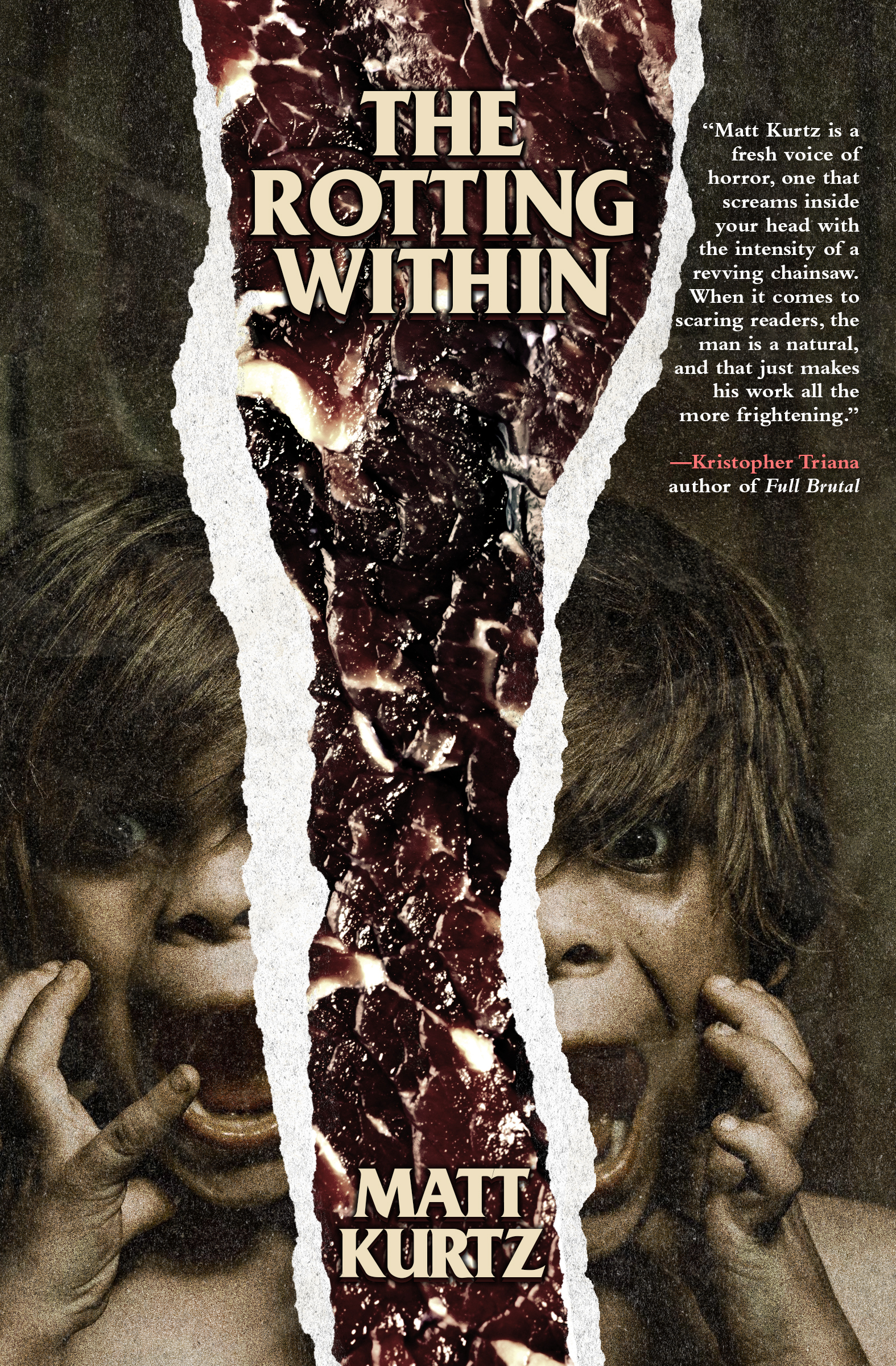 The Rotting Within book cover