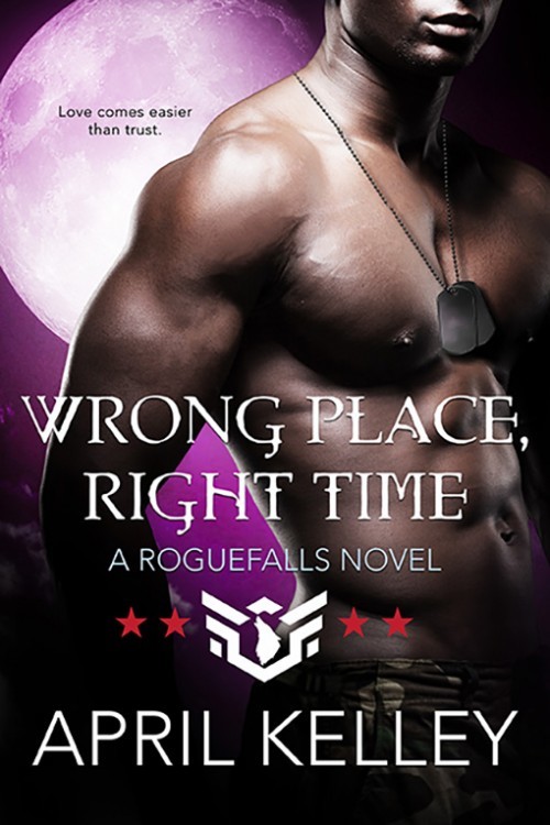 Roguefalls book cover 3