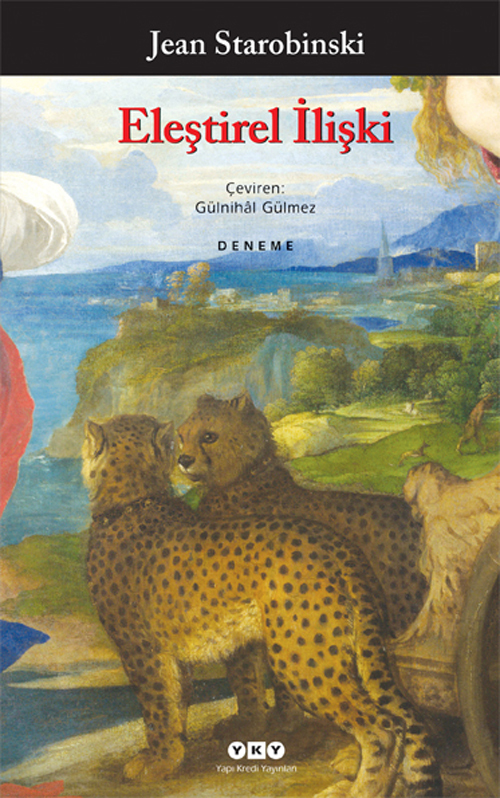 Eleştirel İlişki book cover