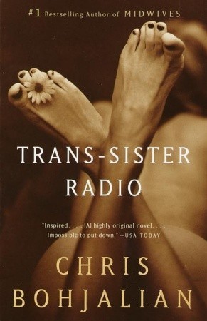 Trans-Sister Radio book cover