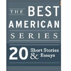 The Best American Series book cover
