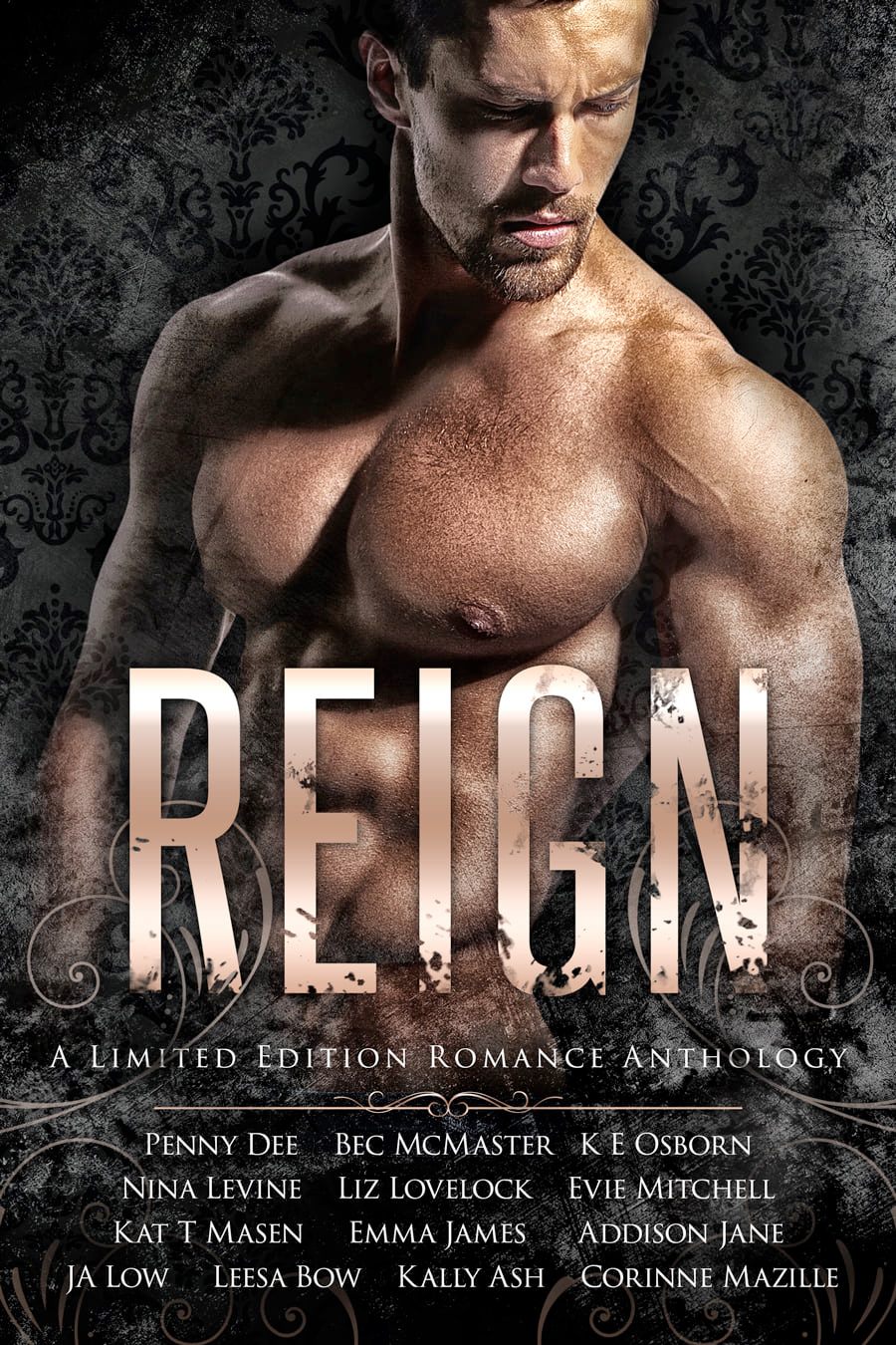Reign book cover