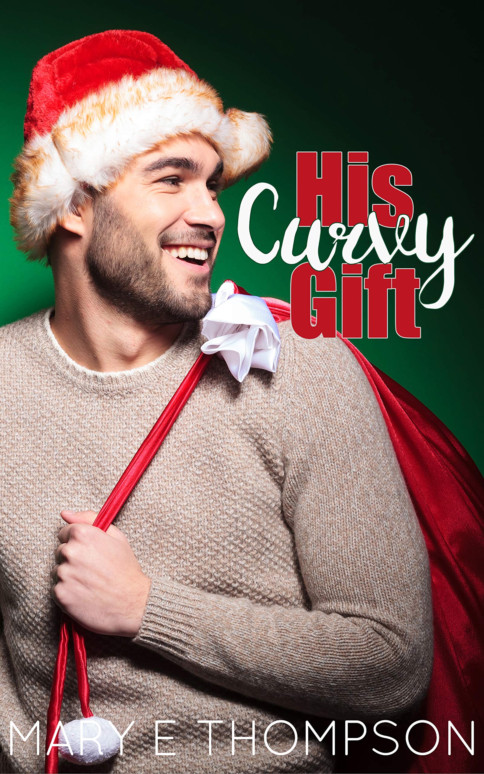 His Curvy Gift book cover