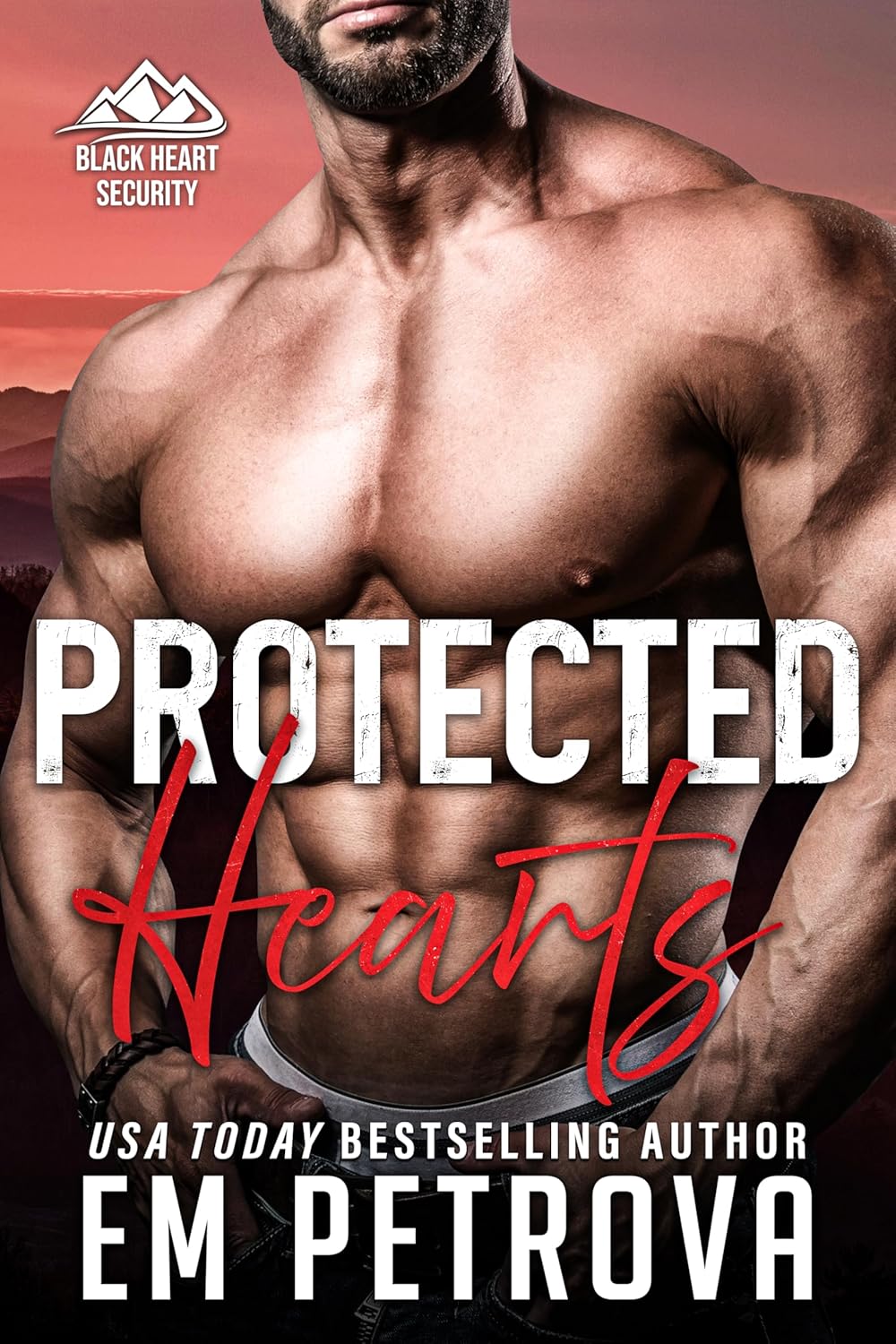 Black Heart Security book cover 2