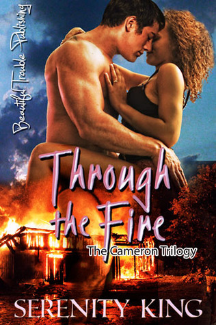 Through the Fire book cover