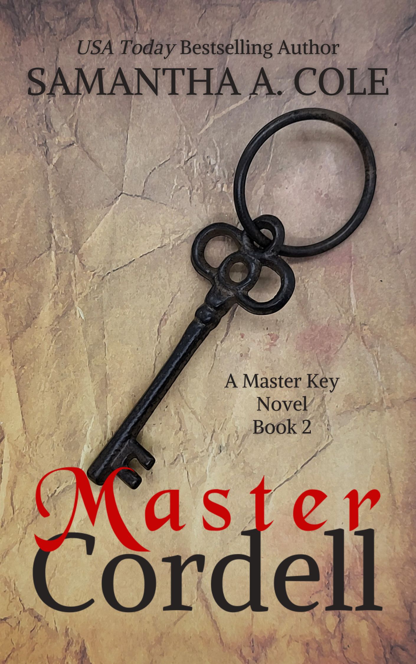 Master Key book cover 2