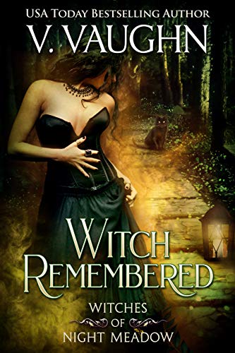 Witches of Night Meadow book cover 2