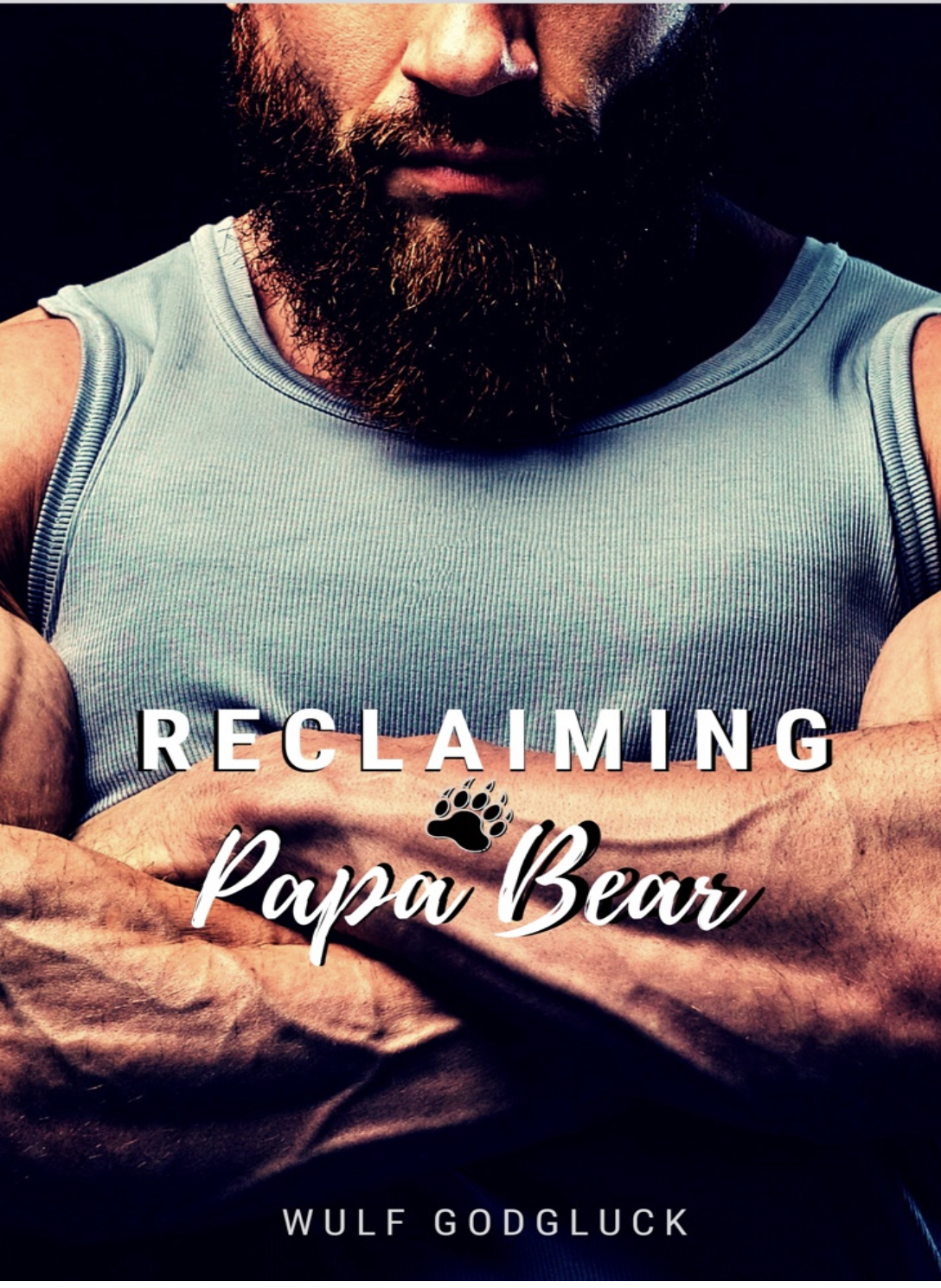 Reclaiming Papa Bear book cover