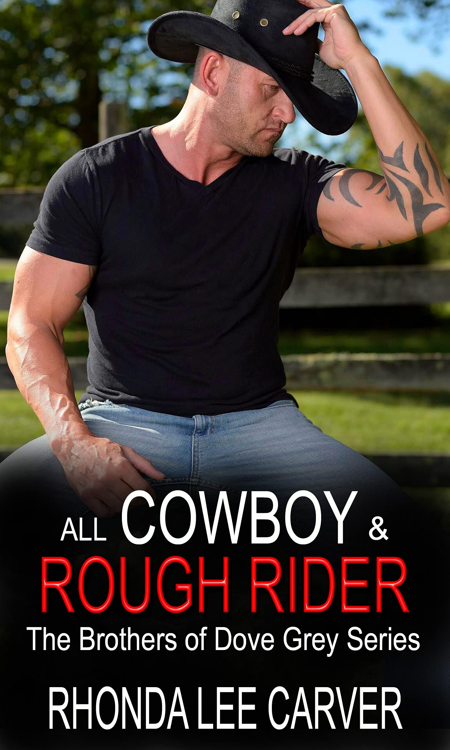 The Brothers of Dove Grey book cover 1