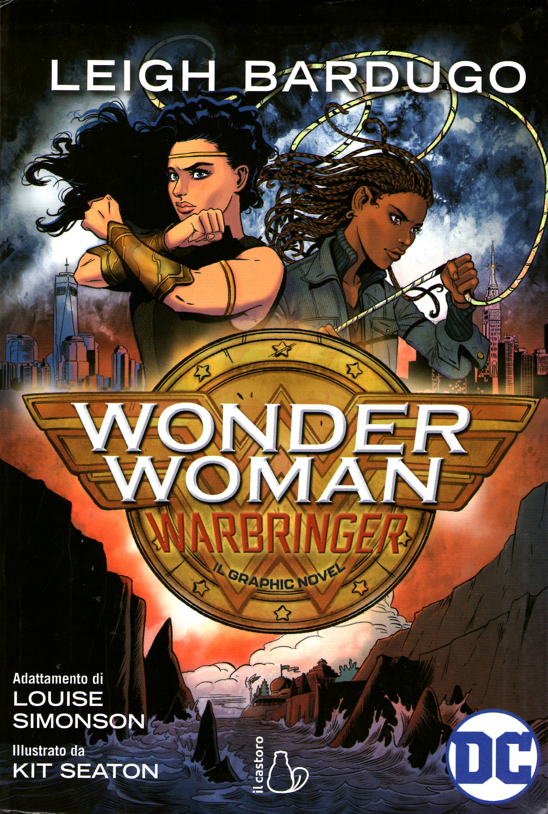 DC Icons Graphic Novels book cover 1
