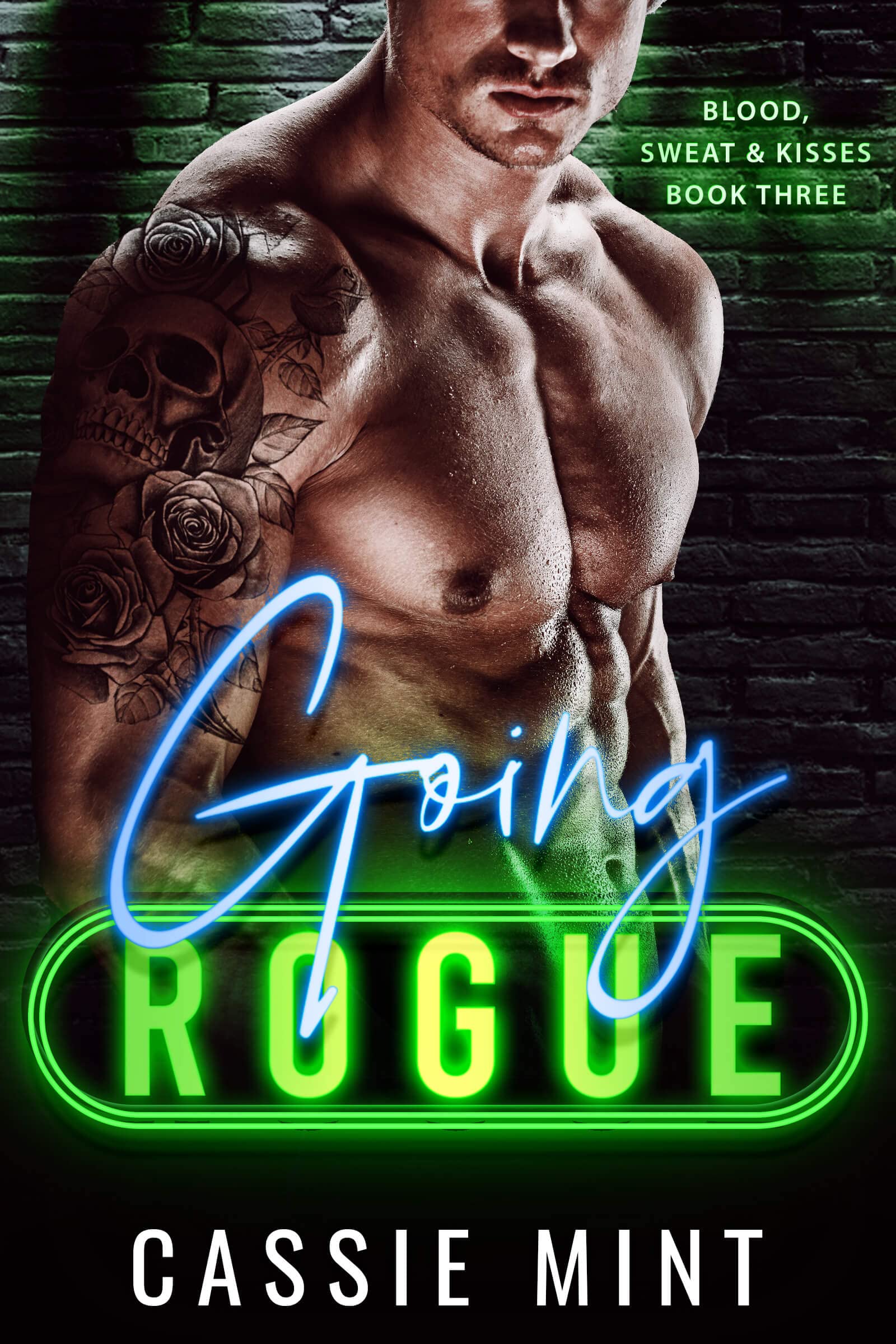 Going Rogue book cover