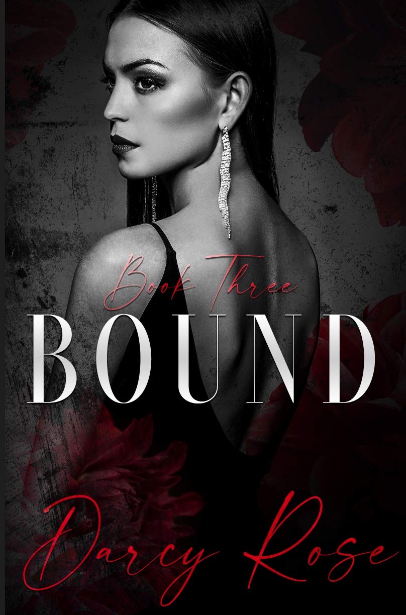 Vow of Revenge book cover 2