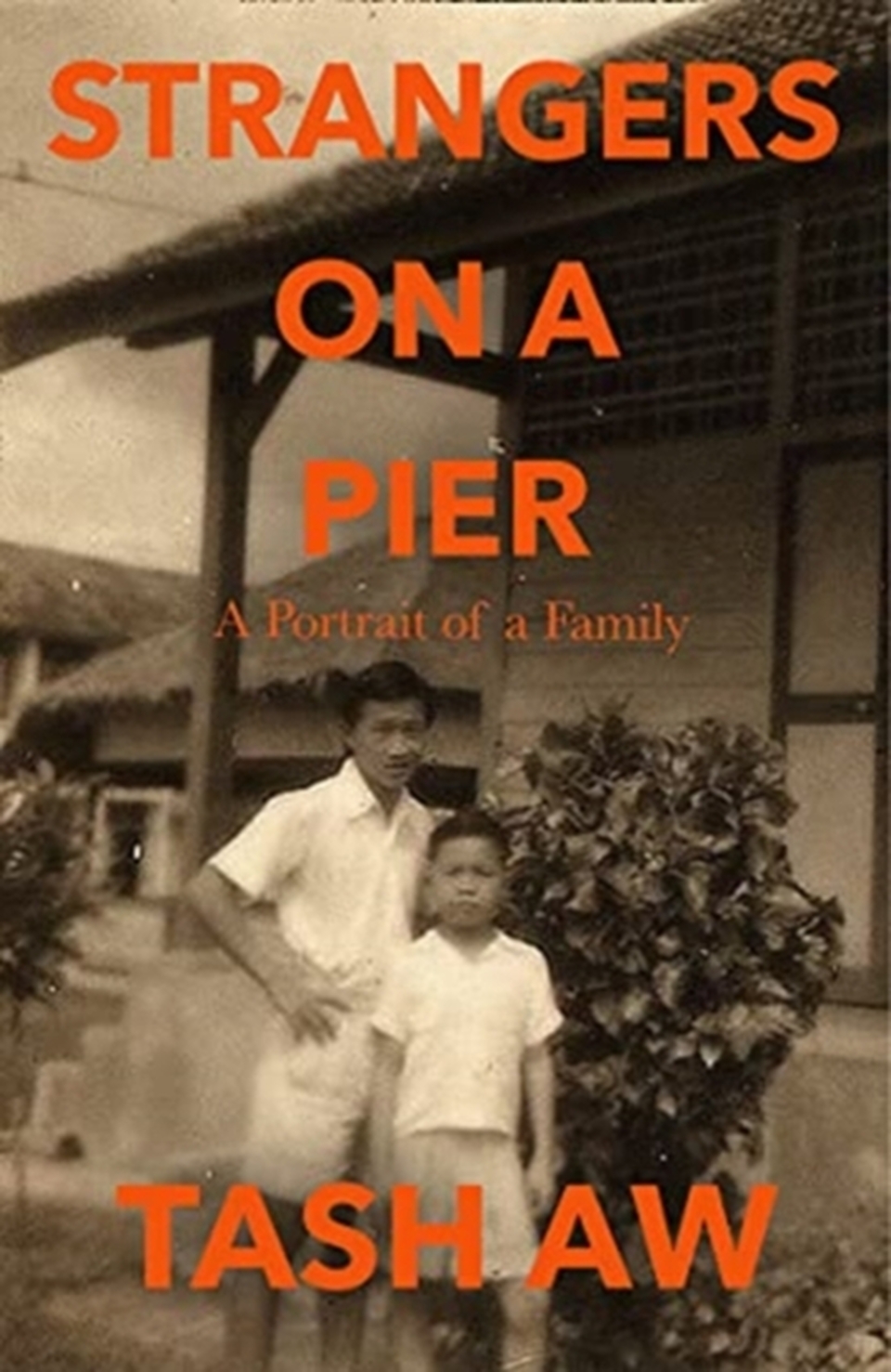 Strangers on a Pier book cover