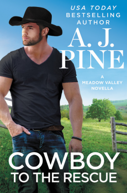 Cowboy to the Rescue book cover