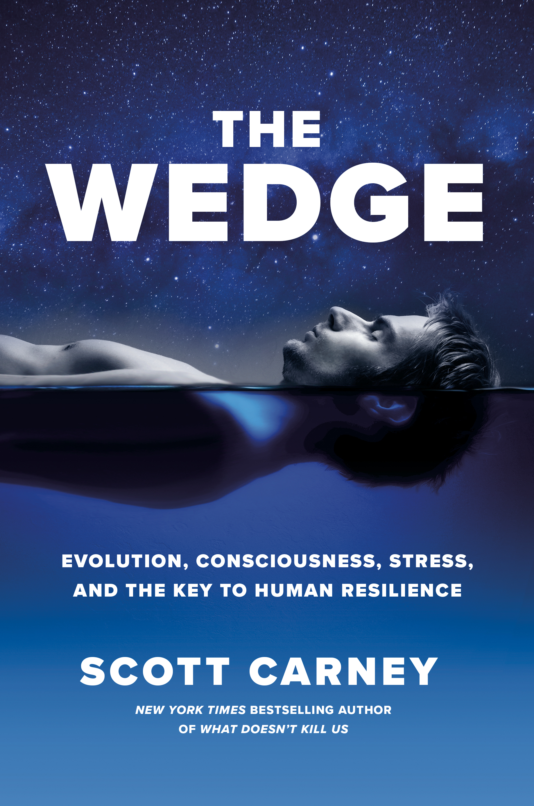 The Wedge book cover