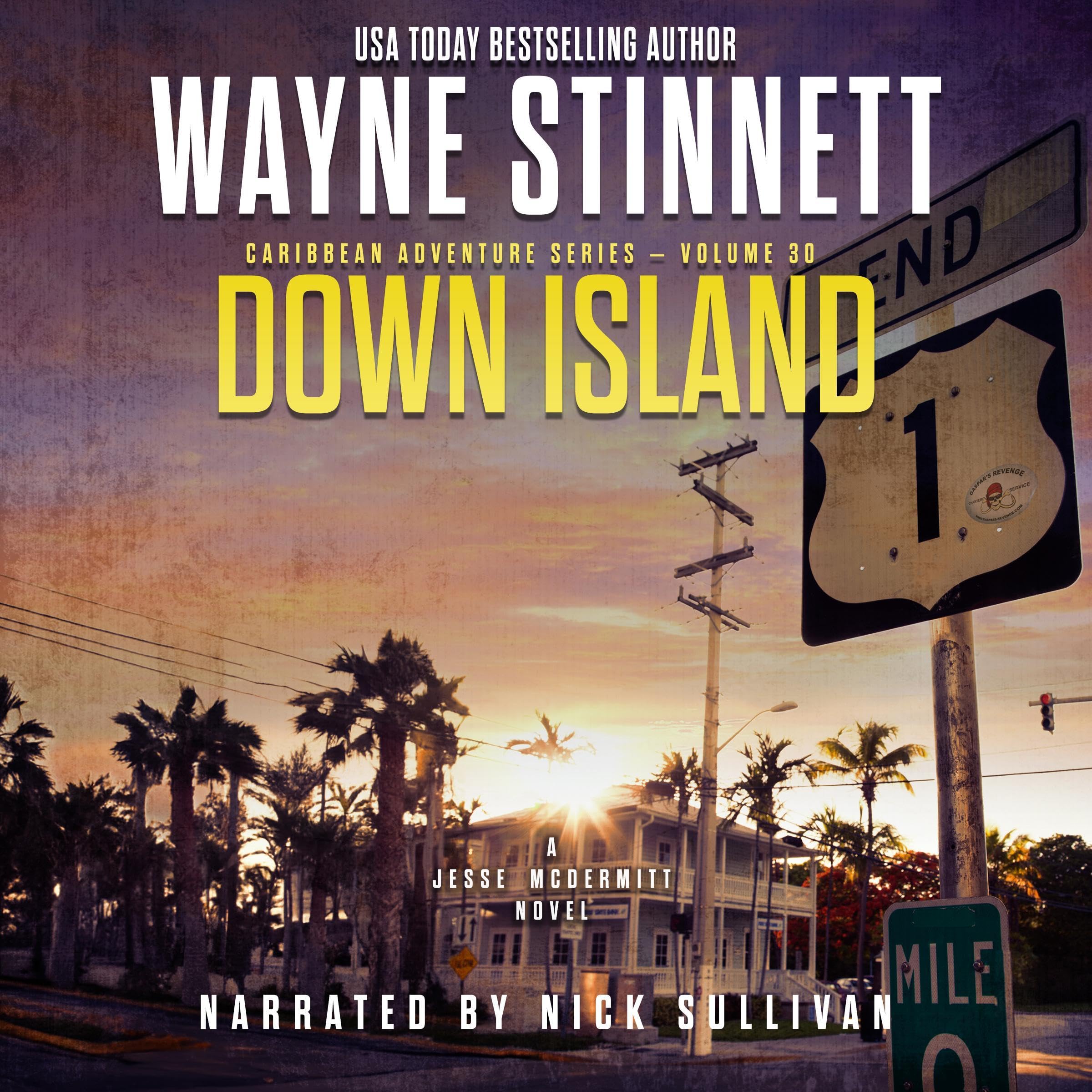 Down Island book cover