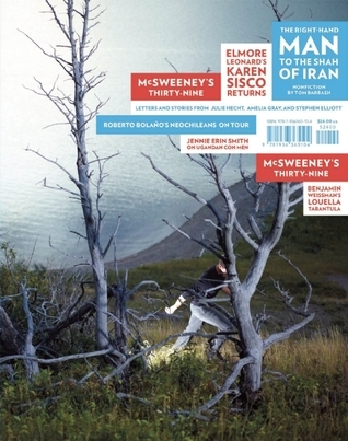McSweeney's #39 book cover