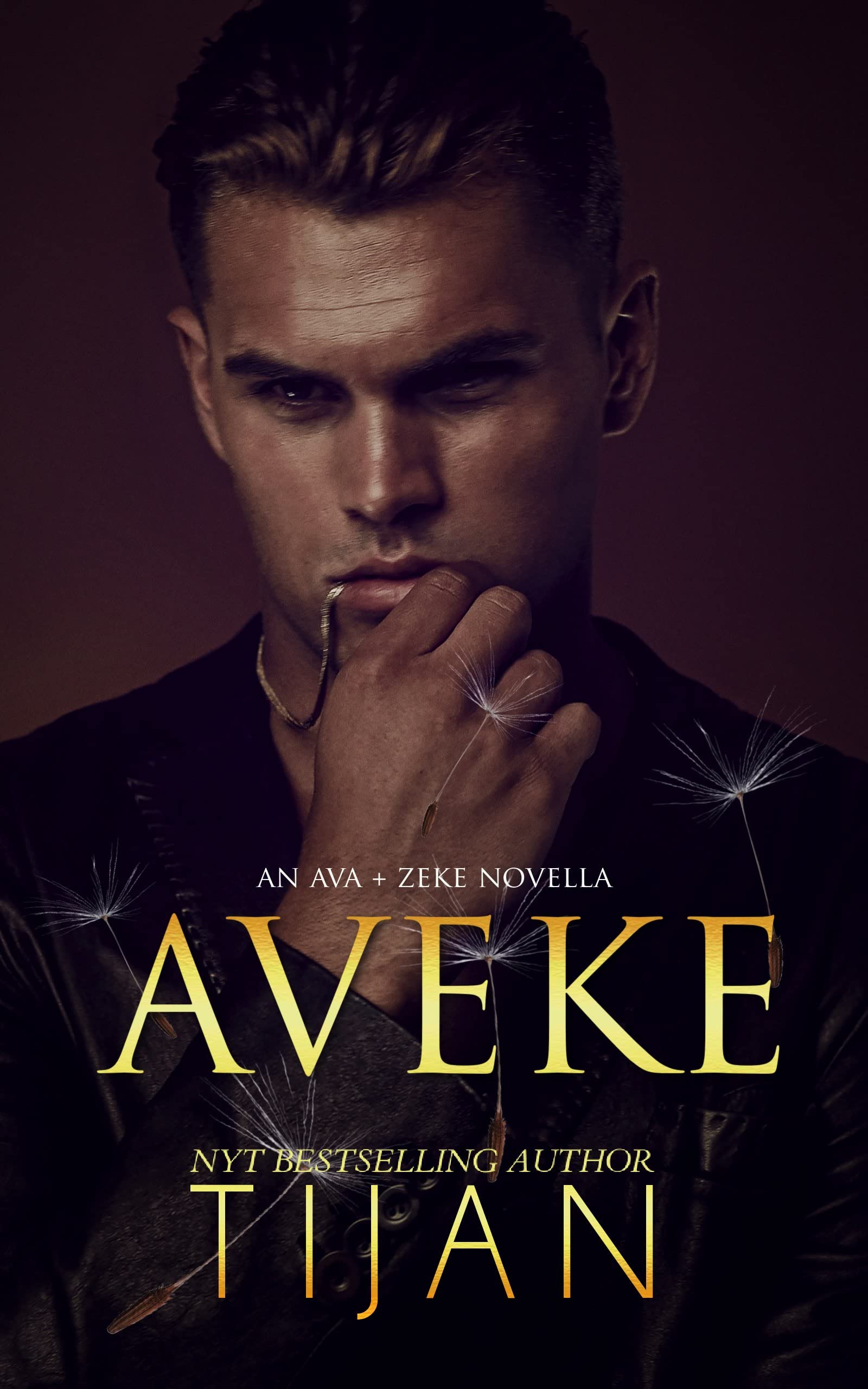 Aveke book cover