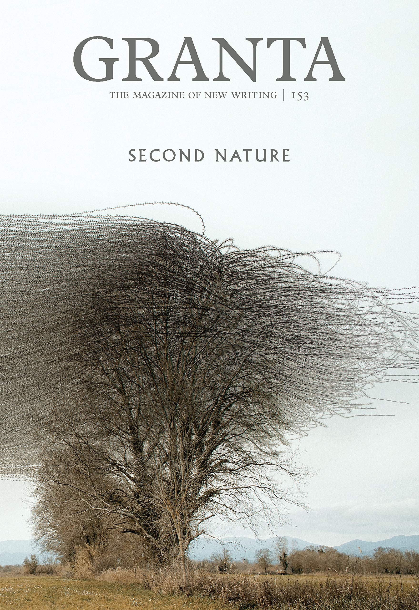 Granta 153 book cover