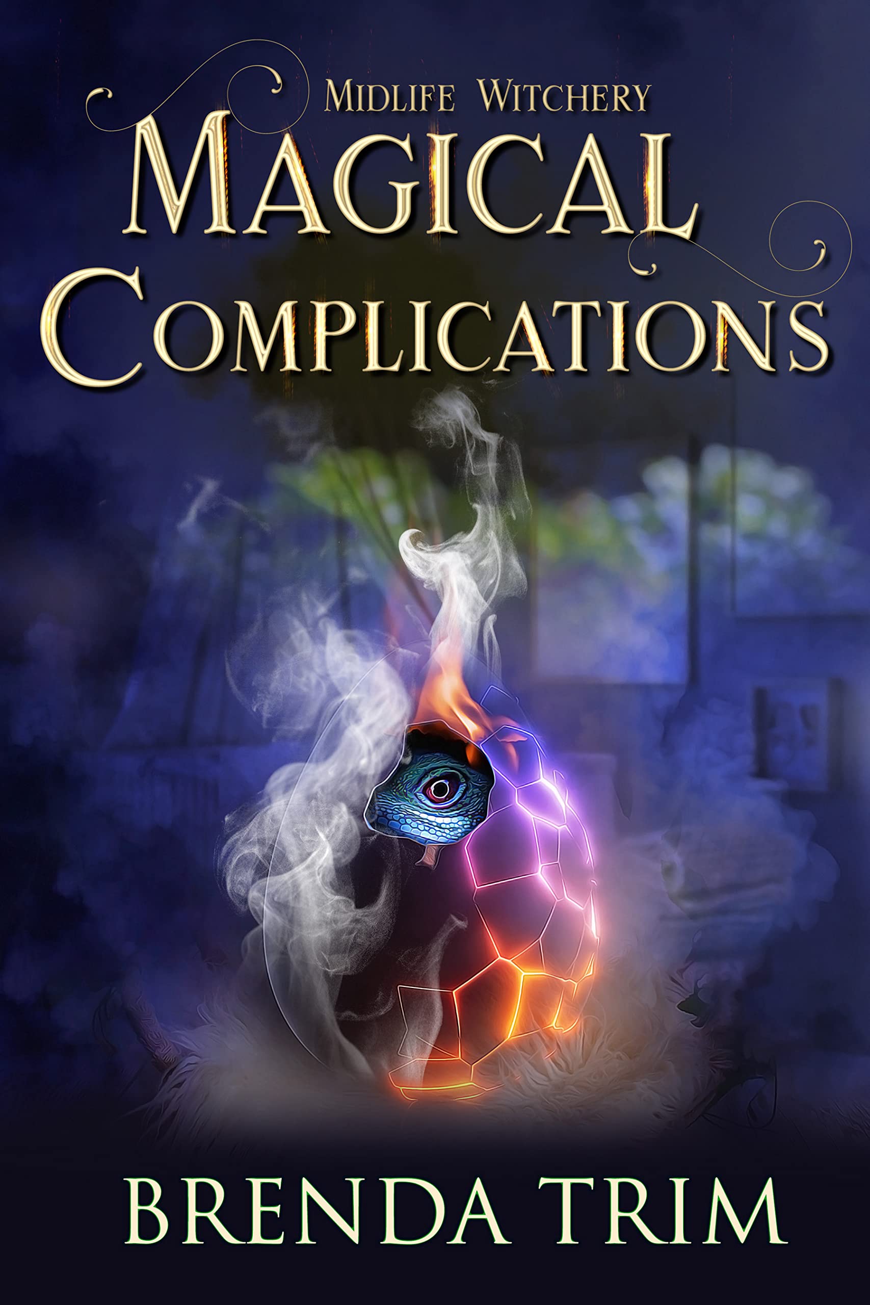 Magical Complications book cover