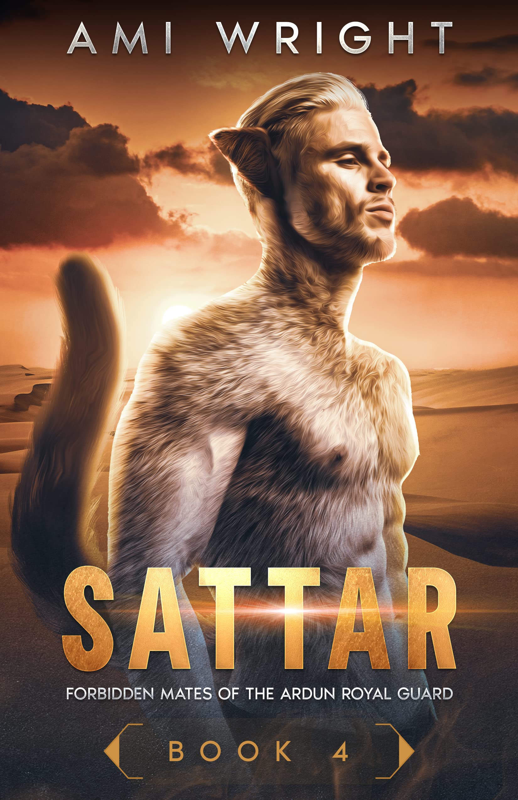 Sattar book cover