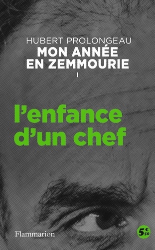 Mon année en Zemmourie book cover 1
