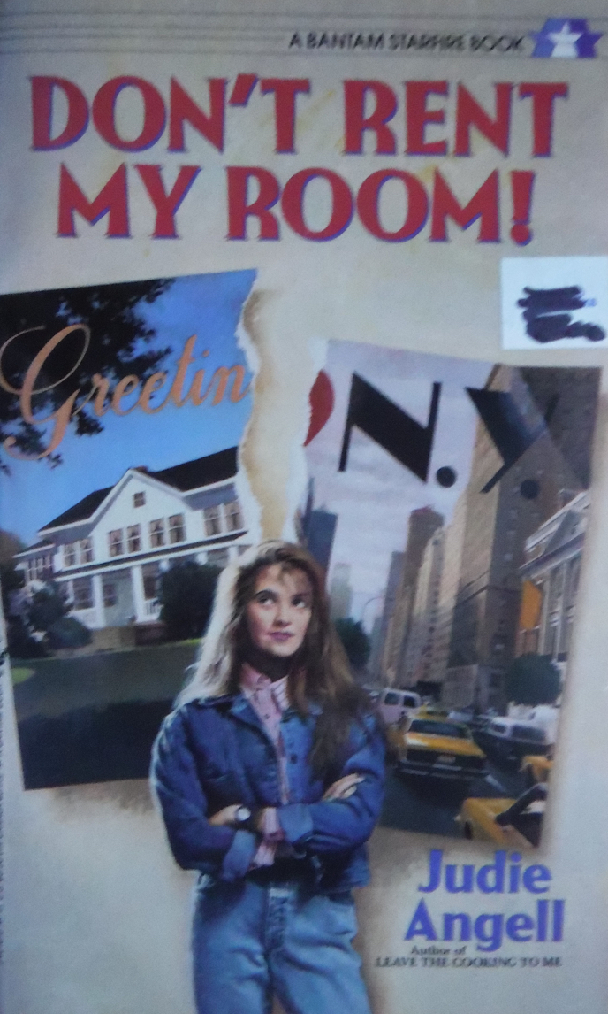 Don't Rent My Room! book cover